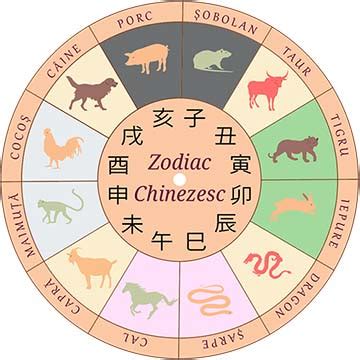 zodia chinezeasca|Calcul zodiac chinezesc. Afla ce zodie esti in functie .